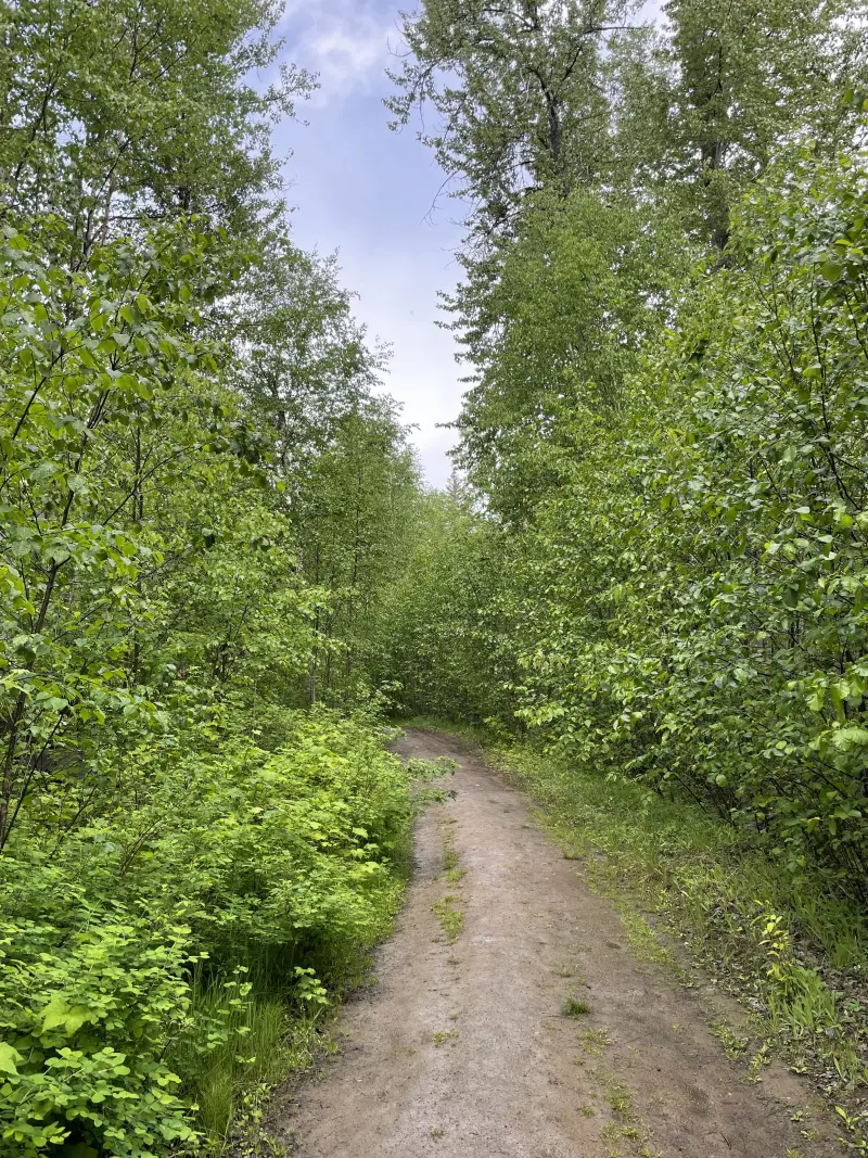 Trail to Moul Falls