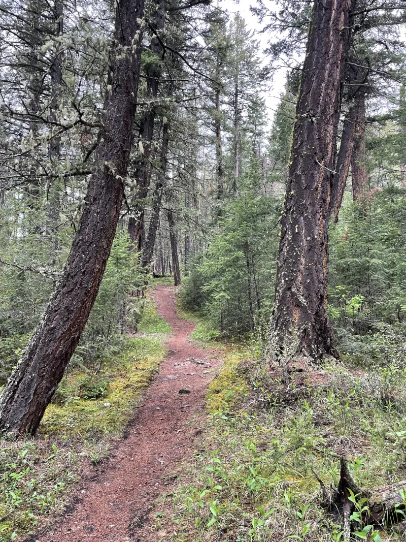 On the trail in the pyramid lake area