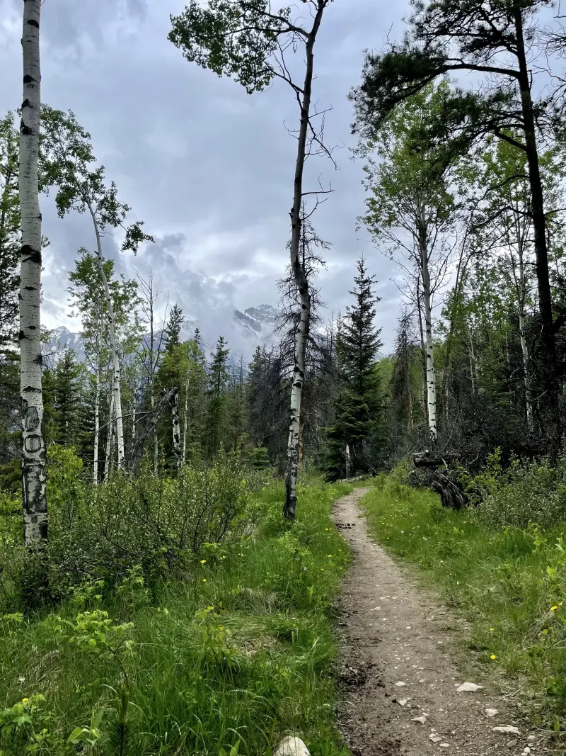 On the trail