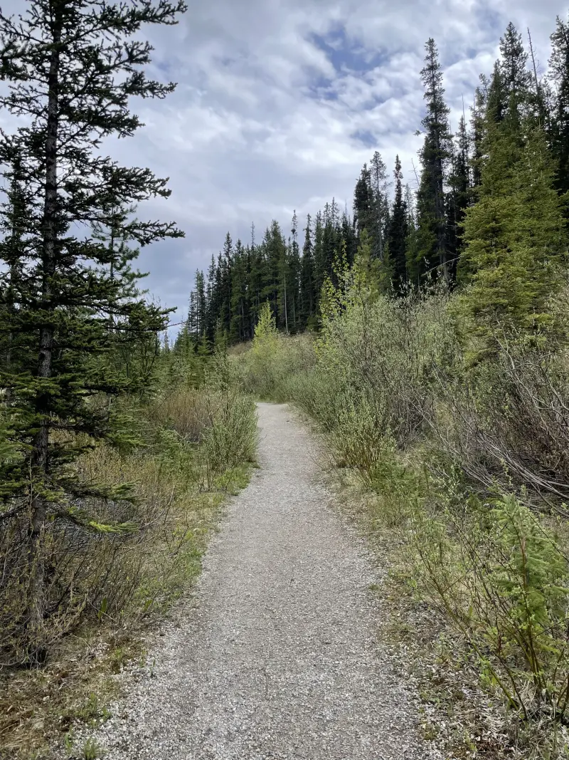 Lake Louise Creek Trail