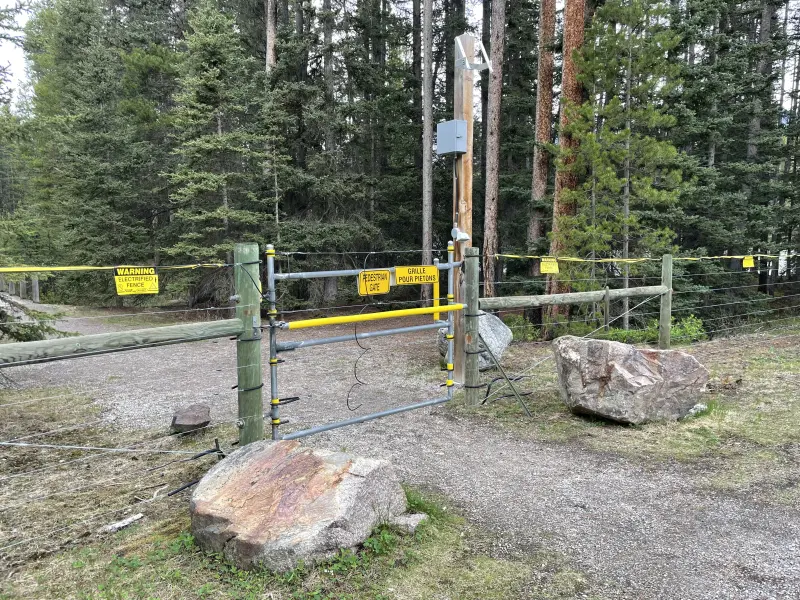 Bear fence around the campground