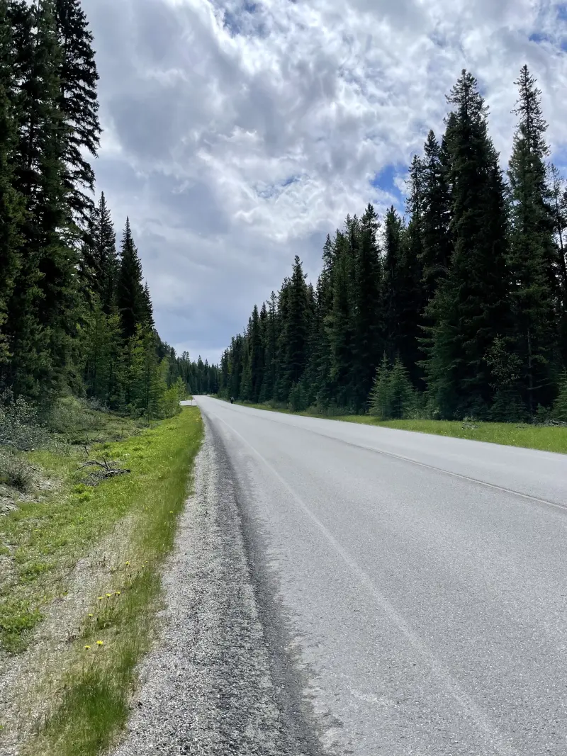 Road walking to Johnston Canyon