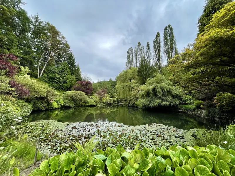 &lsquo;Hidden&rsquo; Pond at the Gardens