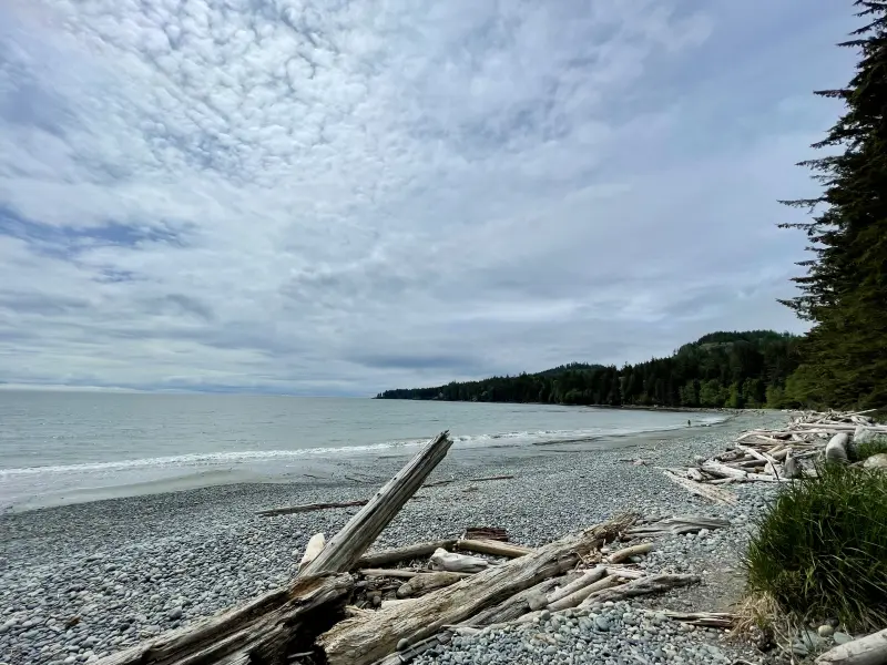 Beach near Port Renfrew