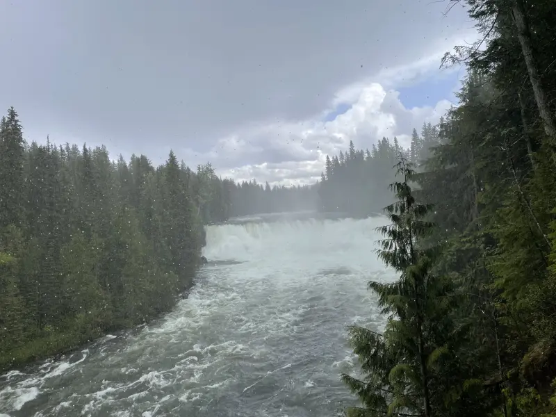 Dawson Falls in the rain