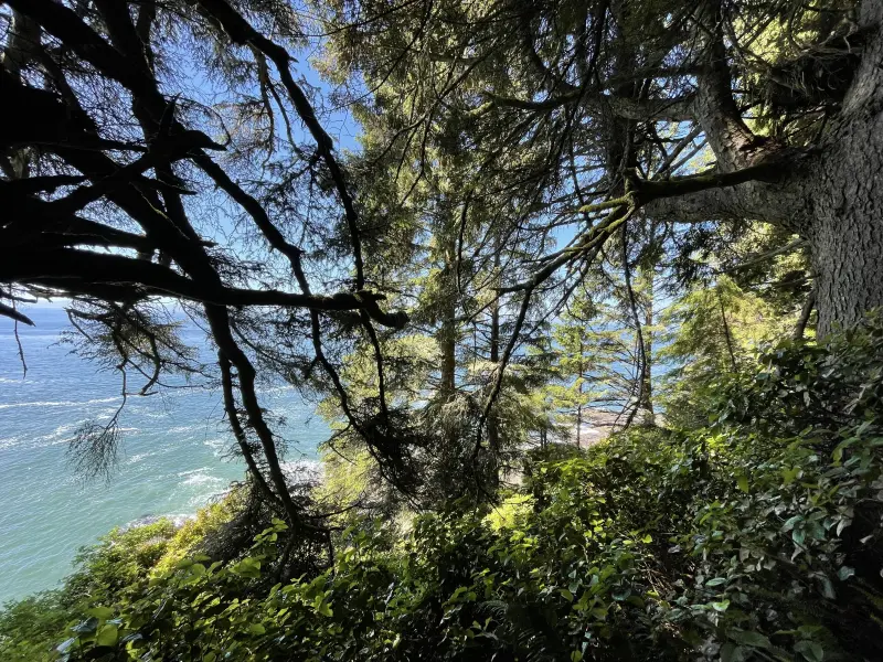 View of the Sea from the trail