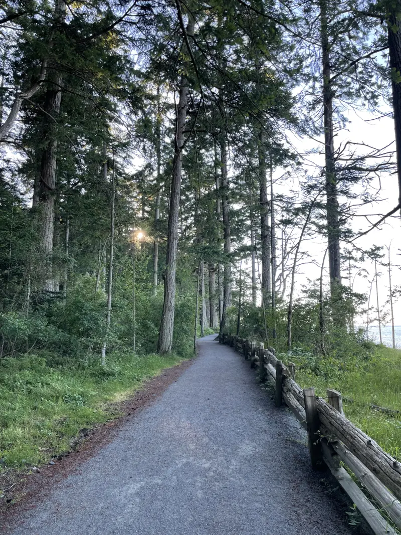 Trail in the park