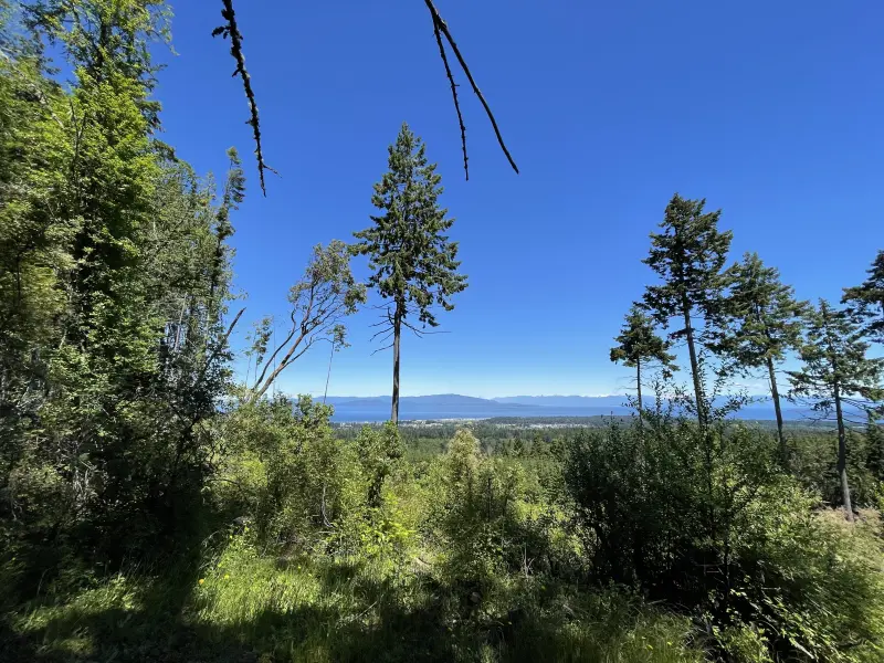 View near the top of Little Mountain