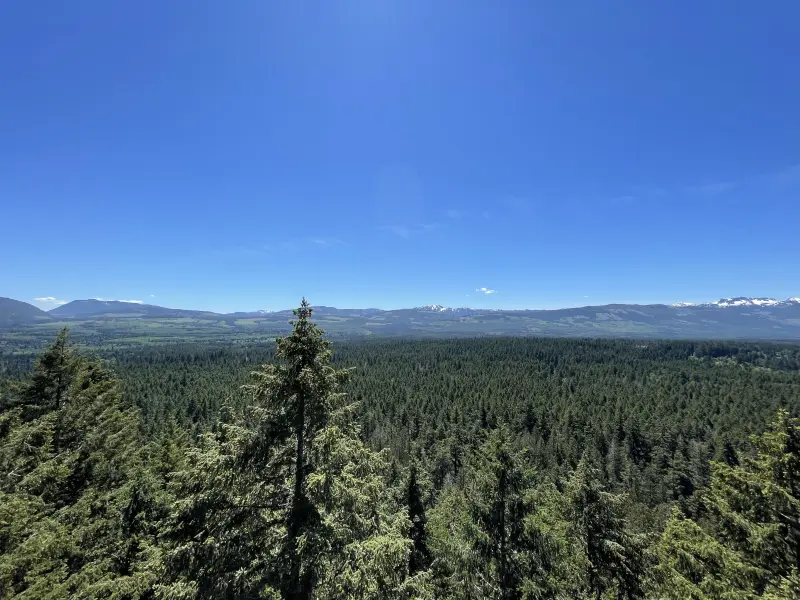 View from Little Mountain