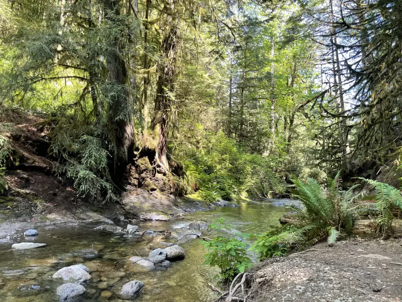 Creek beneth the Fall