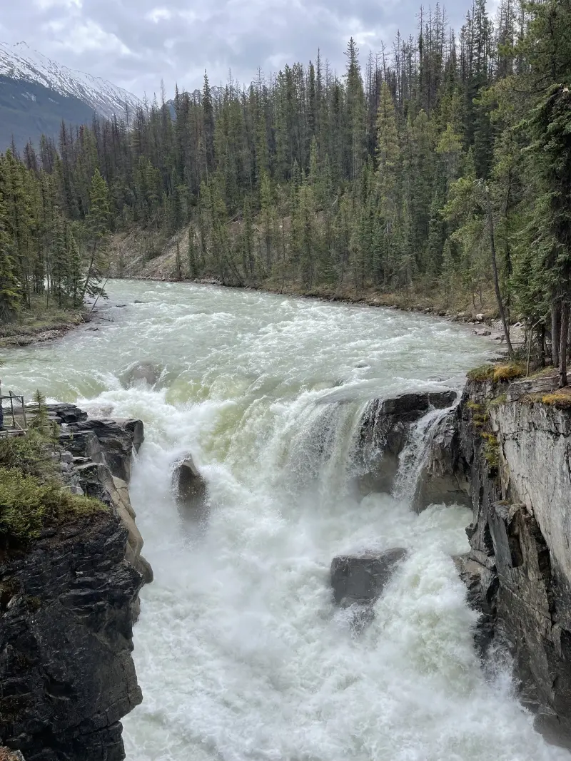 Sunwapta Falls