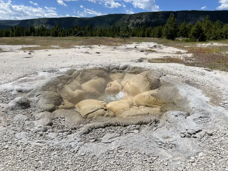 Small geyser