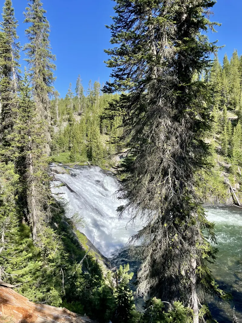 Lewis Falls