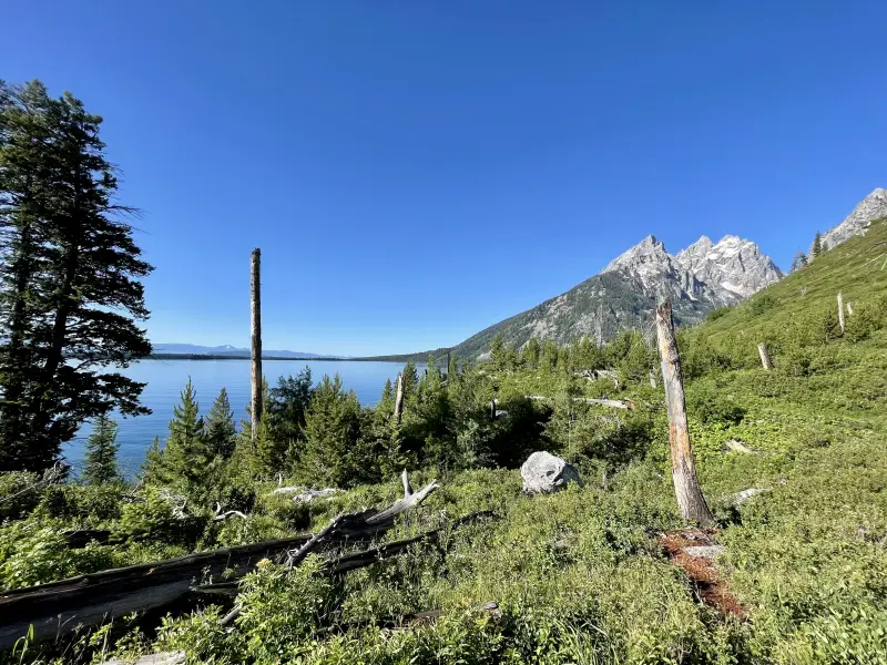 Lake Jenny with the Teton Range in the background