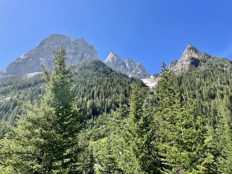 Trail opens up and provides view of the Tetons