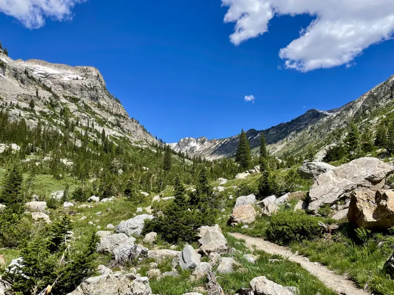 View up, direction Solitude Lake