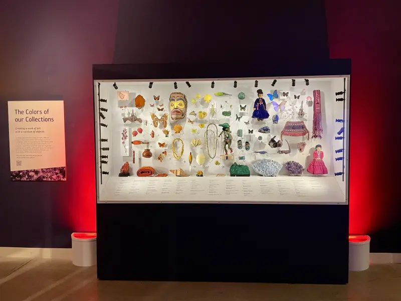 Colorful exhibition