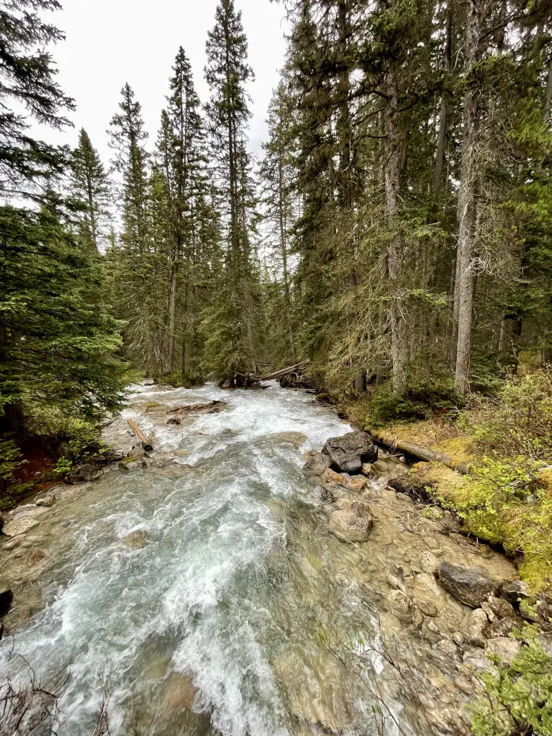 Lake Louise Creek