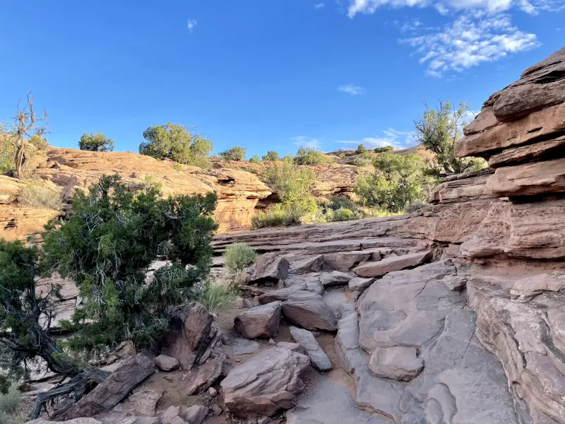 Rocky trail