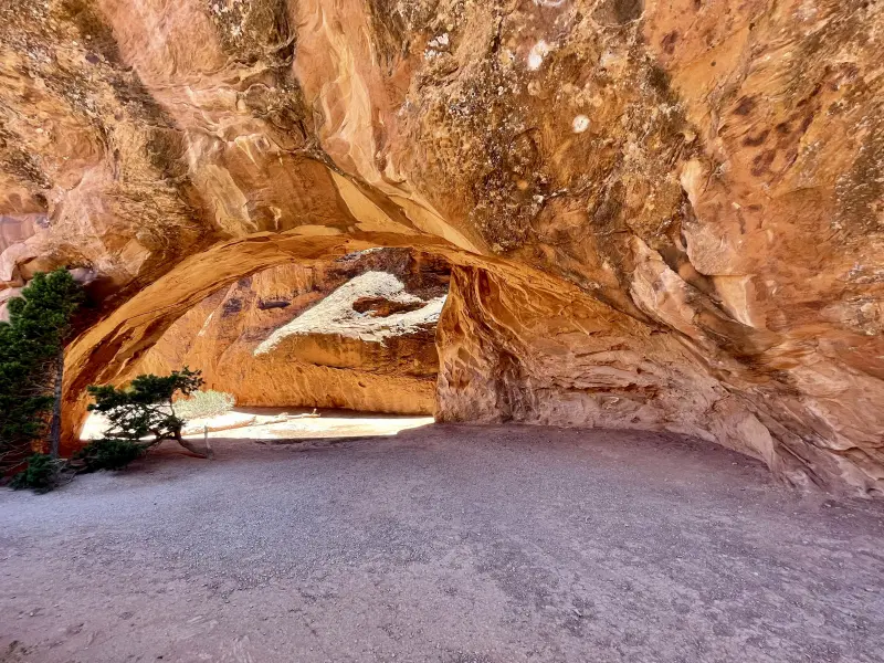 Navajo Arch