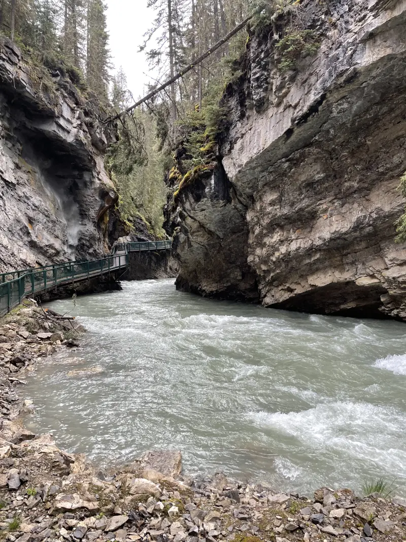 View of the Johnston Canyon trail