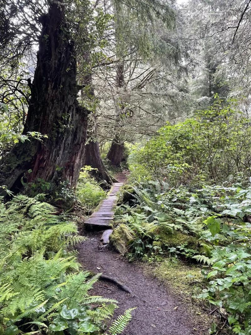 One of the many wooden bridges