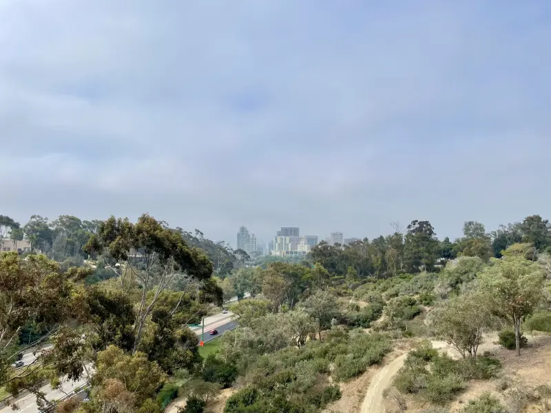 View of San Diego from Balboa Park on the way to the Zoo