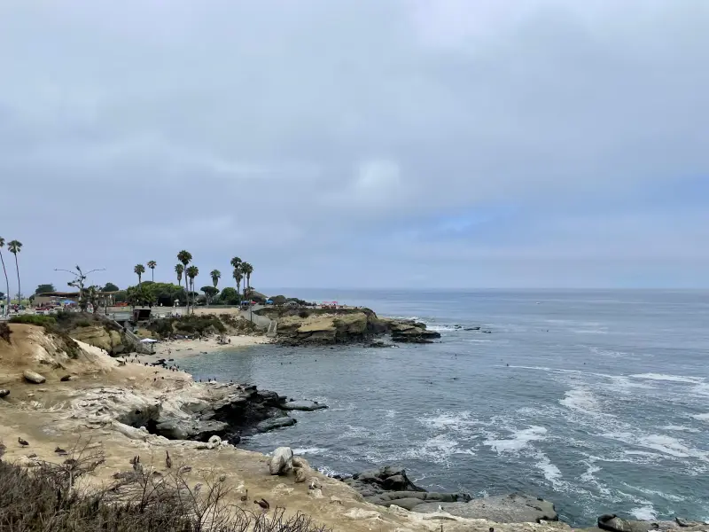 Sea Lions, where? You need good eyes. The good pictures are on the camera in the car&hellip;