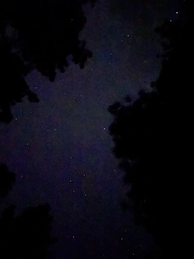 Night Sky above Mammoth Lakes