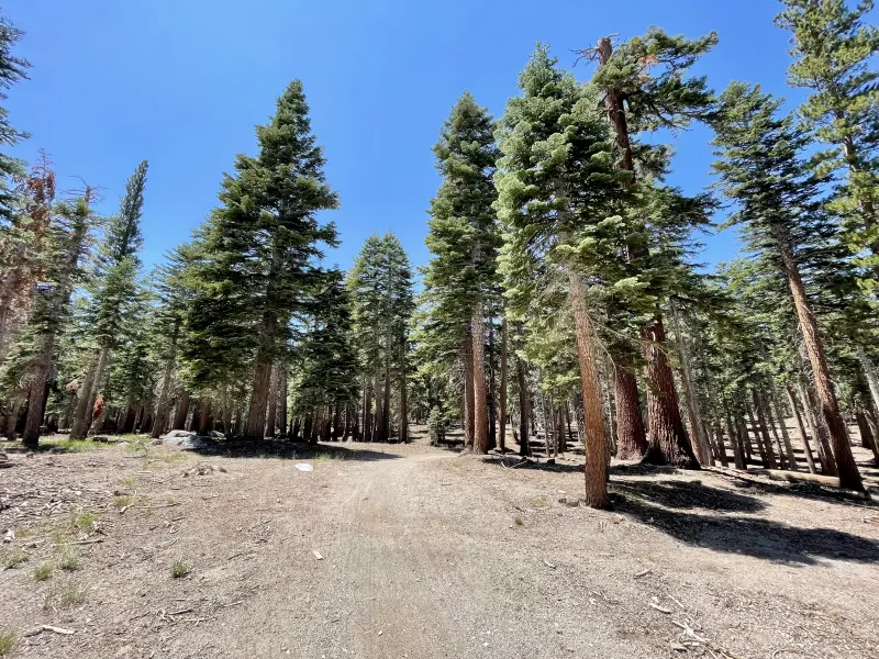 Unpaved part of the trail