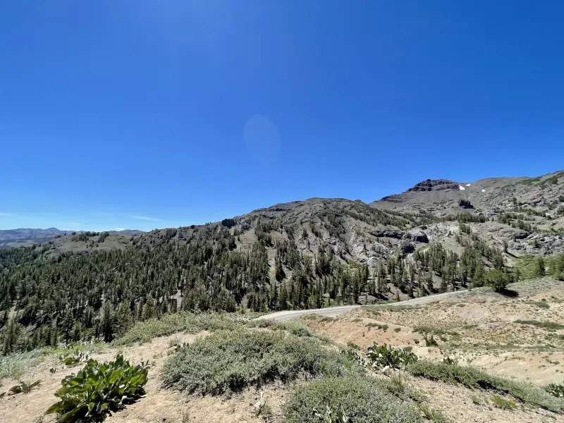 View from Sonora Pass