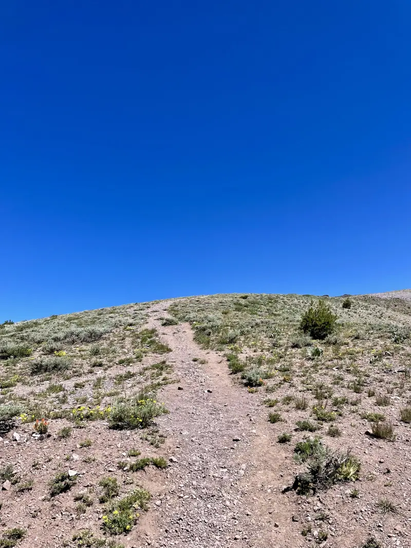 PCT Trail off from Sonora Pass