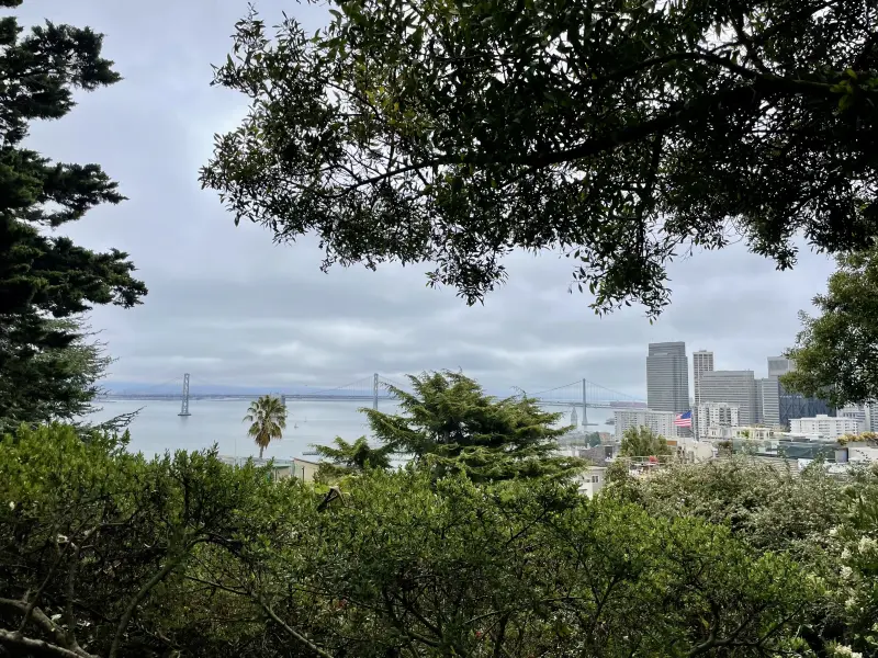 View from the bottom of Coit Tower