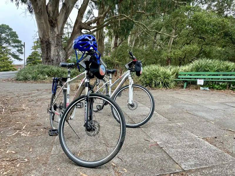 Rental Bikes