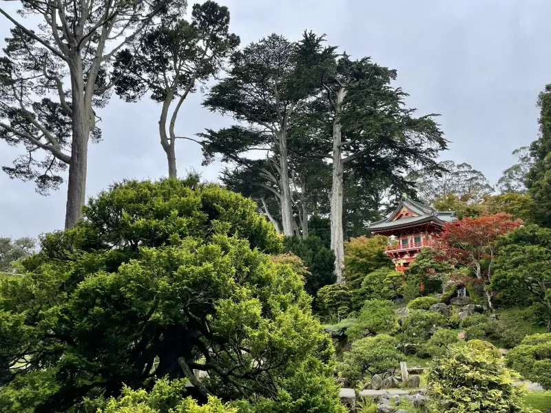 Japanese Tea Garden