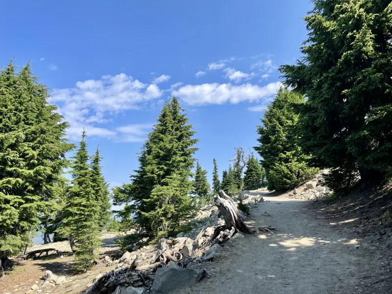 Trail to Watchman Peak