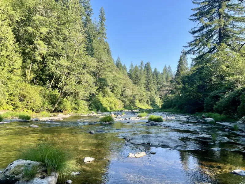 Enjoying the River, no people here