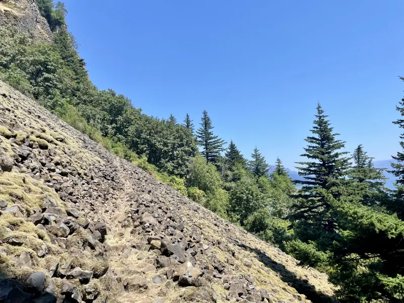 Boulder Field