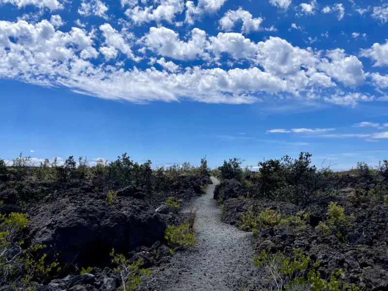 Part of the kaʻū desert trail