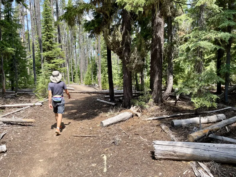 Me on the stretch that led to the PCT