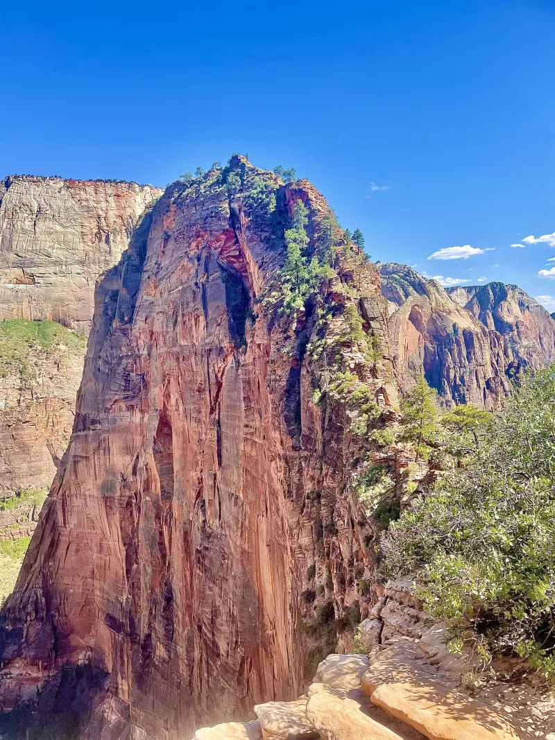 This narrow path leads to the top